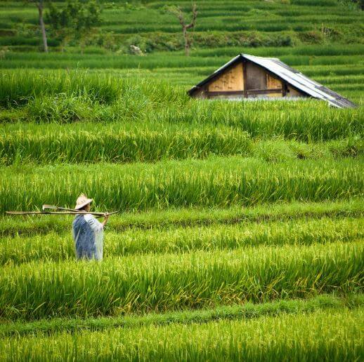 Photo d'Emmanuel au Vietnam