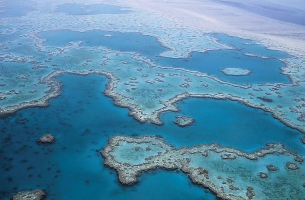 Voyager à la découverte des richesses naturelles de l’Australie