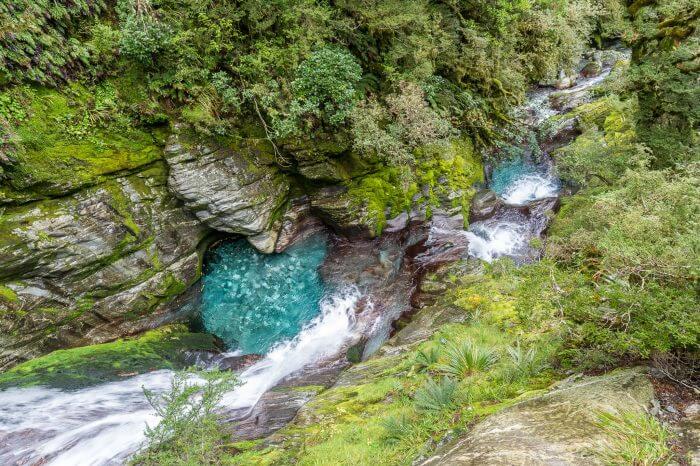 Cascades Milford Track