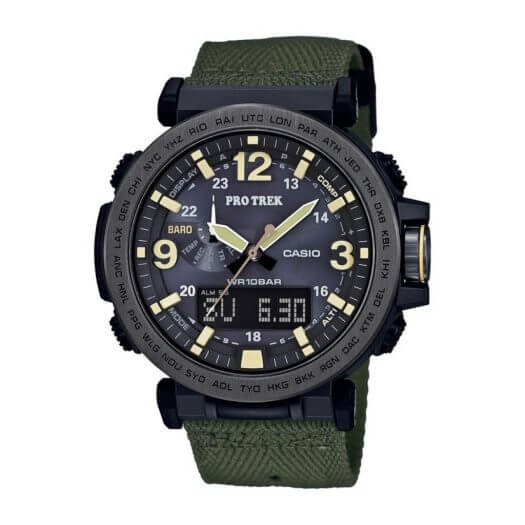 montre casio pro trek