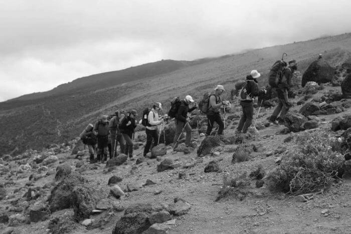  trek au kilimandjaro