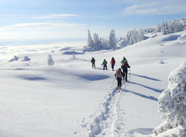 Top 5 des activités d’hiver quand on ne peut pas skier