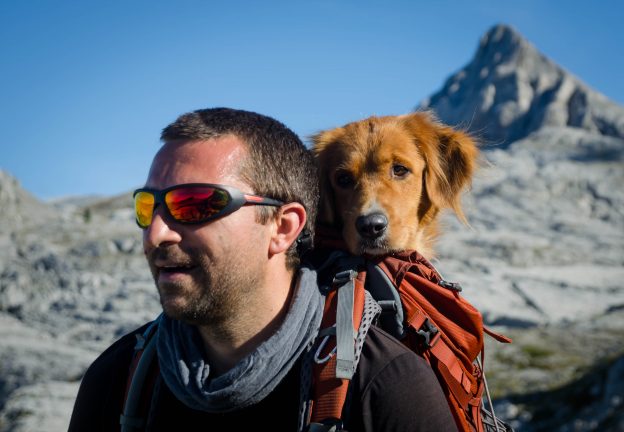 C’est l’histoire d’une rando vue par un Retriever