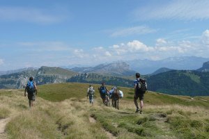 randonnée avec des ânes