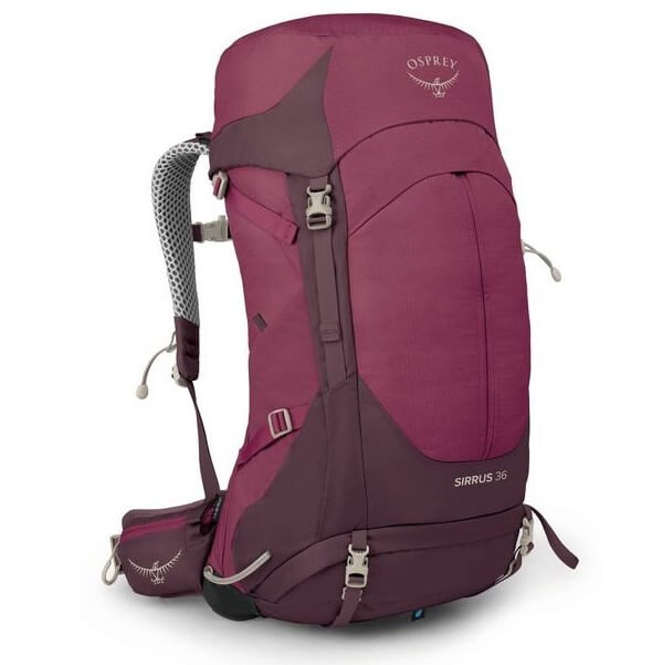 Sirrus 36 femme elderberry purple osprey