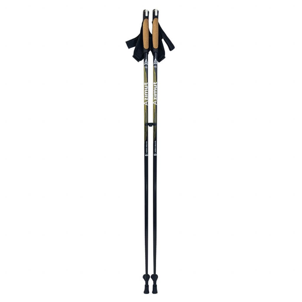 Batons nordic walk (paire)
