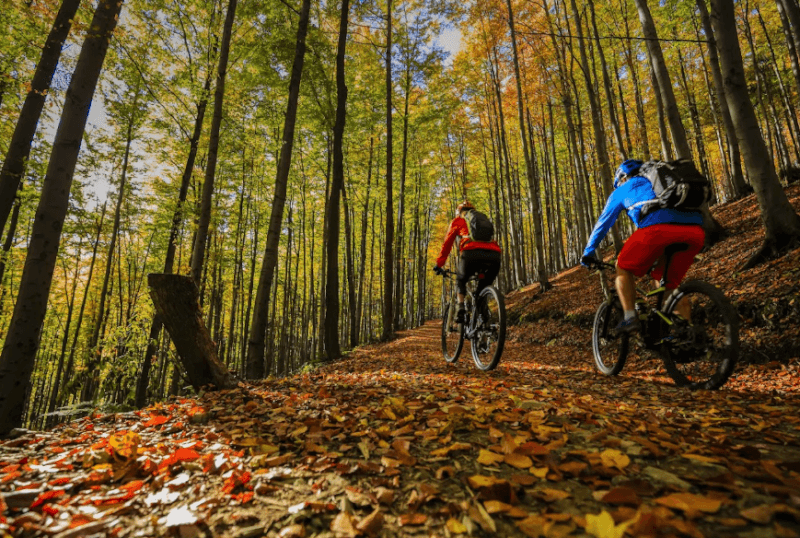 Bikepacking
