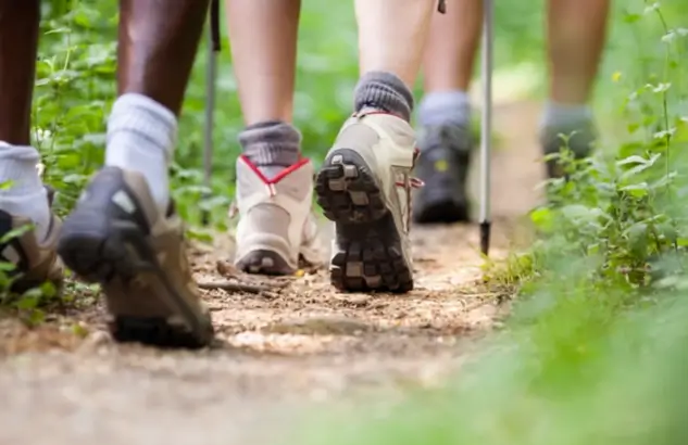 chaussures de randonnée