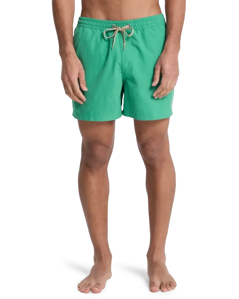 Everiday Volley 15 Leprechaun - Short | Quiksilver
