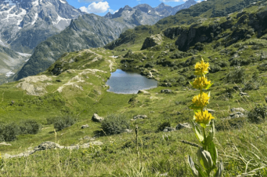 Lac du Lauzon
