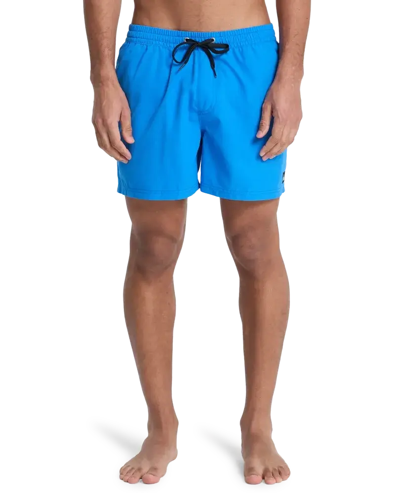 Everiday Volley 15 Nebulas Blue - Short | Quiksilver